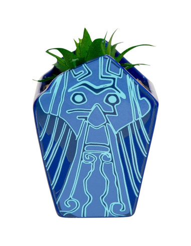 Maceta Mini Cerámica Silver Buffalo Atlantis 10.16 cm con Suculenta