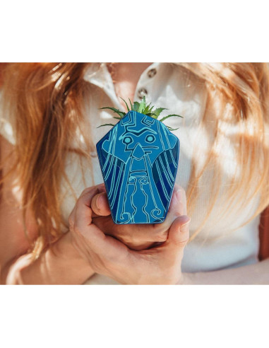 Maceta Mini Cerámica Silver Buffalo Atlantis 10.16 cm con Suculenta