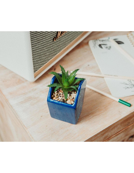 Maceta Mini Cerámica Silver Buffalo Atlantis 10.16 cm con Suculenta