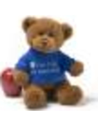 Oso de Peluche GUND 30 cm Mensajero Camiseta Azul Hermano Mayor