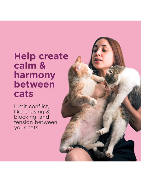 Kit de Inicio Comfort Zone para Gatos - Difusor y Recarga 30 Días