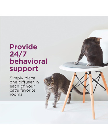 Kit de Inicio Comfort Zone para Gatos - Difusor y Recarga 30 Días