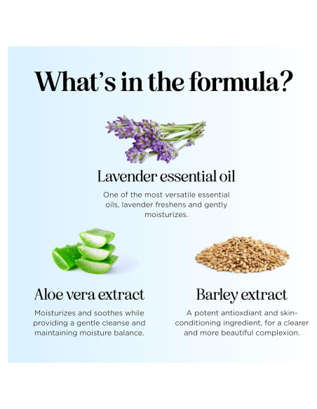 Baño de Burbujas Calmante Honeydew 473 ml - Niños con Aloe y Lavanda