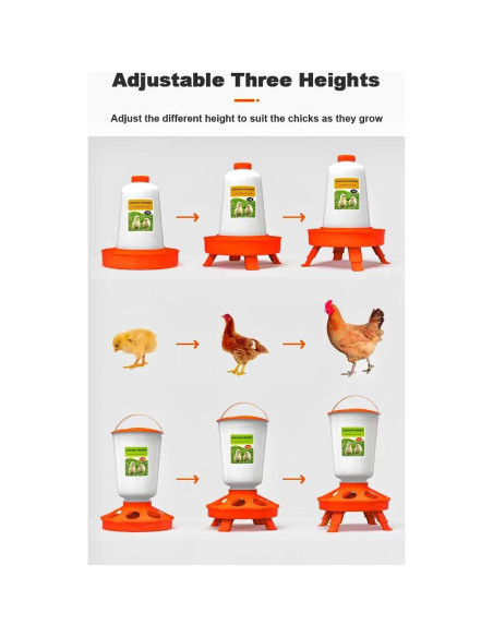 Kit Alimentador y Bebedero para Pollitos Genérico 1L