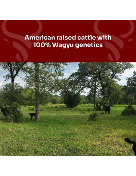 Grasa de Res Wagyu Republic 311g Tarro de Vidrio - Ideal para Keto