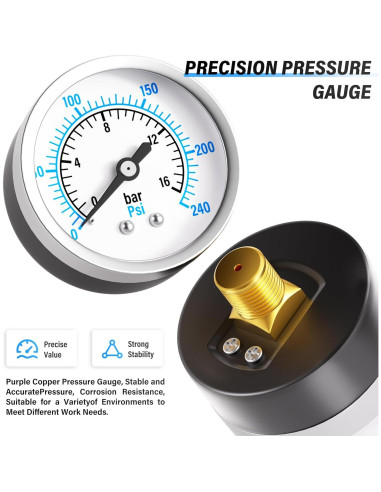 Sistema de Secado de Aire TAILONZ PNEUMATIC 1/2" NPT 240 PSI