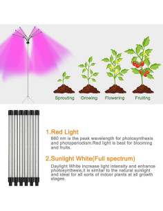 Luz de Crecimiento LED Mefflypee Tipo B con Trípode Ajustable 2
