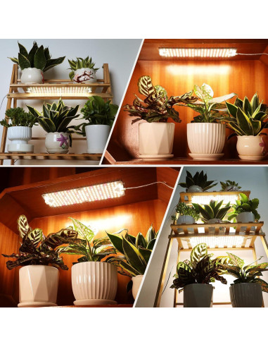 Luces de Crecimiento FECiDA 6Pack 60W para Plantas de Interior
