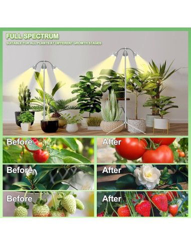 Lámpara de Crecimiento TAURUSY para Plantas de Interior 25-140 cm