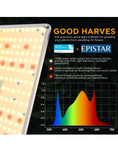 Luz de Cultivo LED IMVSINCERE 100W Espectro Completo para Plantas 2