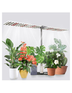 Luz de Cultivo LED JCBritw 100W Espectro Completo Ajustable