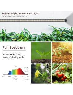 Lámpara de Pie STERREN para Plantas de Interior 22W 4000K 2