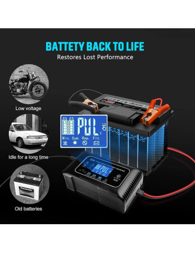 Cargador de Batería Inteligente Dght 12V 20A 24V 10A Litio/Ácido