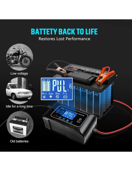 Cargador de Batería Inteligente Dght 12V 20A 24V 10A Litio/Ácido