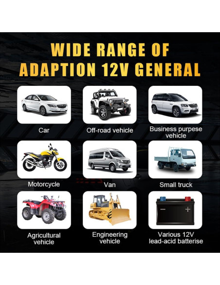 Cargador de Batería Inteligente X-ENERGY YX12V6A 6A 12V