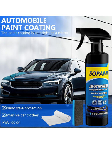 Juego de Spray Recubrimiento Automóviles Biaoyun 500ml + Esponja + Paño