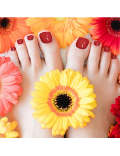 Calcomanías de Esmalte de Uñas de Pies Maitys 352 Piezas 2