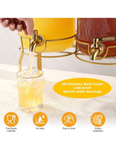 Dispensador de Bebidas de Vidrio ZJ Whoest 3.75kg Doble 2