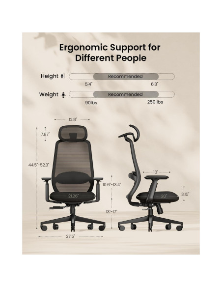 Kit Ergonómico: Ratón ProtoArc EM11 NL + Silla EC200