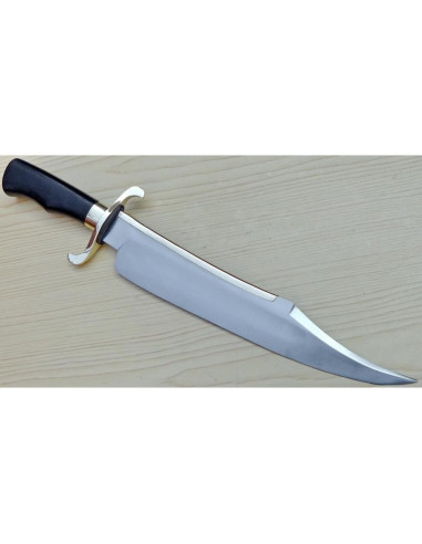 Cuchillo Bowie Genérico Kn_2304 de Acero Alto Carbono 43cm
