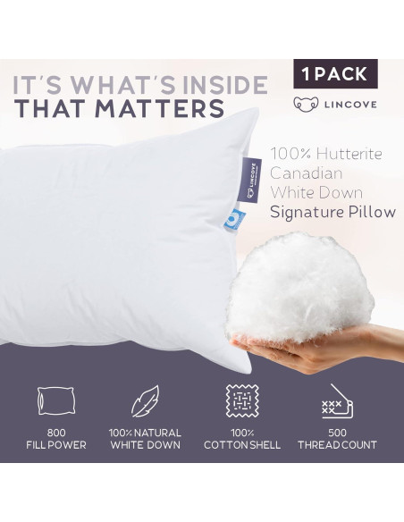 Almohada Lincove 100% Algodón Plumón Canadiense Estándar