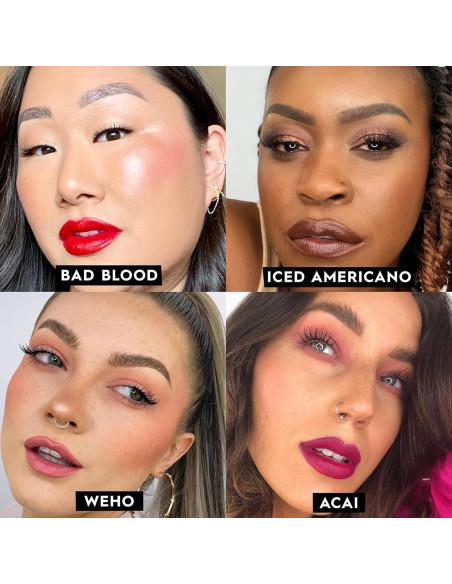 Labial Hidratante Urban Decay Vice 1993 Mate 3.1g