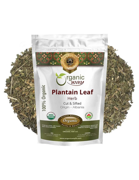 Hoja de Plátano Orgánica Cortada 113 g - Organic Way