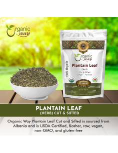 Hoja de Plátano Orgánica Cortada 113 g - Organic Way 2