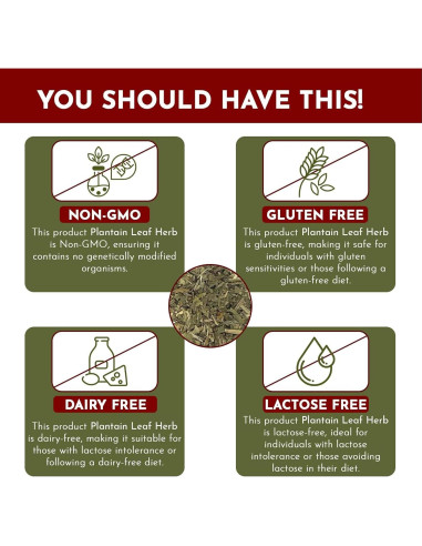 Hoja de Plátano Orgánica Cortada 113 g - Organic Way