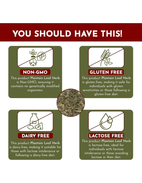 Hoja de Plátano Orgánica Cortada 113 g - Organic Way