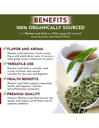 Hoja de Plátano Orgánica Cortada 113 g - Organic Way