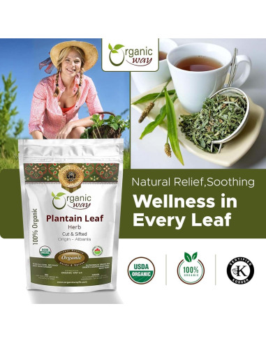 Hoja de Plátano Orgánica Cortada 113 g - Organic Way