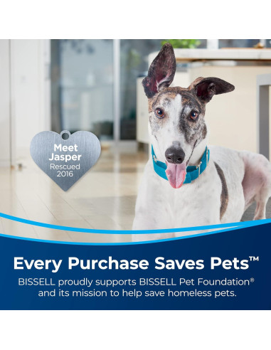 Aspiradora Vertical BISSELL SurfaceSense Lift-Off para Mascotas