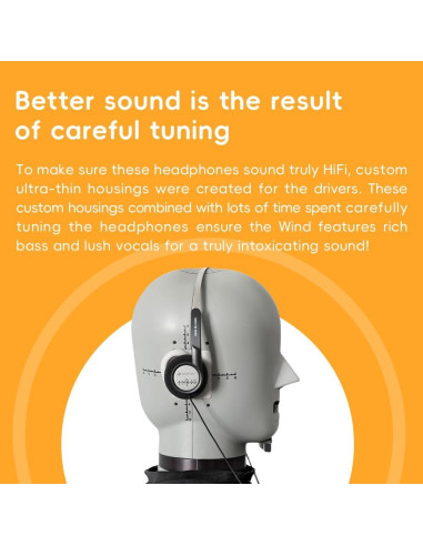 Auriculares On-Ear FiiO Wind 40mm HiFi con Micrófono Negro