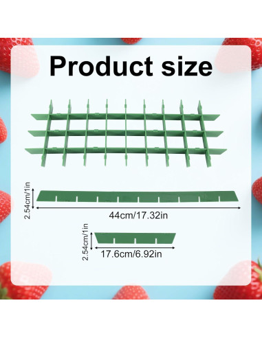 Divisores de Bandeja Mediana BOXOB para Deshidratador