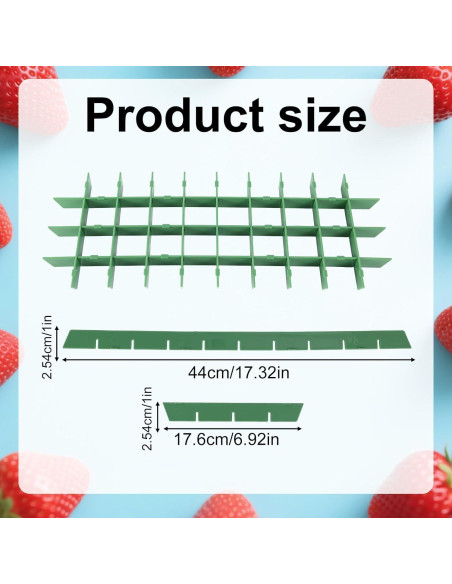 Divisores de Bandeja Mediana BOXOB para Deshidratador