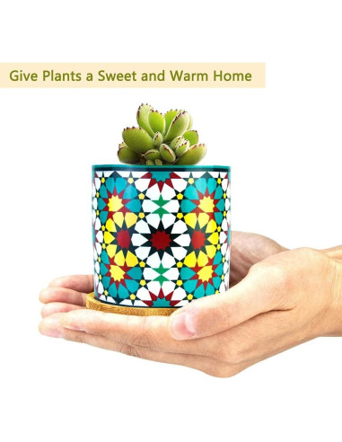 Paquete de 6 macetas de cerámica Mandala Ascrafter con bandejas