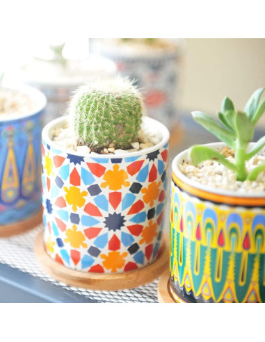 Paquete de 6 macetas de cerámica Mandala Ascrafter con bandejas