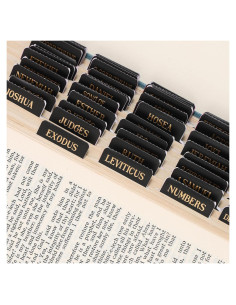 Etiquetas de Biblia VYRANA Laminadas Foil Dorado 105 Piezas