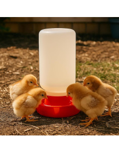 Juego de Alimentador y Bebedero Sansanshangmao para Pollitos 0.95L 2