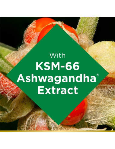 Gomitas de Ashwagandha Nature's Bounty 300mg 60 Unidades Sabor Bayas