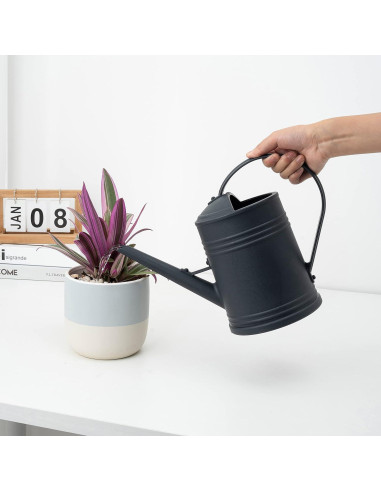 Regadera de Plástico Tennedriv Green 2.0 L para Interiores