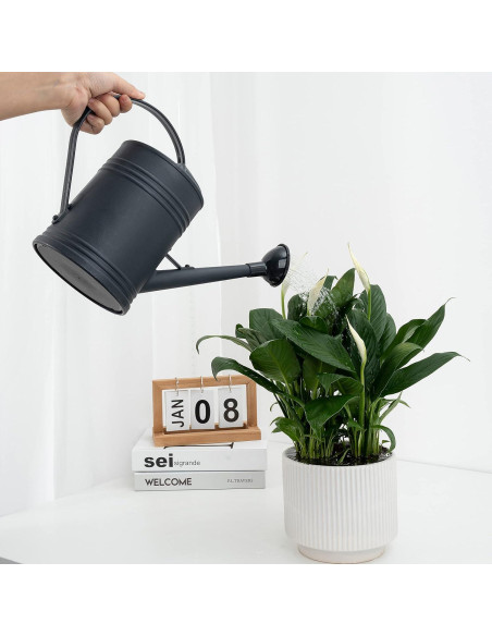 Regadera de Plástico Tennedriv Green 2.0 L para Interiores