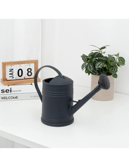 Regadera de Plástico Tennedriv Green 2.0 L para Interiores