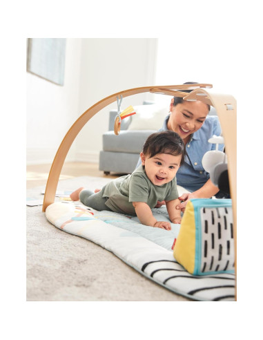 Gimnasio de Juego Montessori Skip Hop + Juguete Dentición Elefante