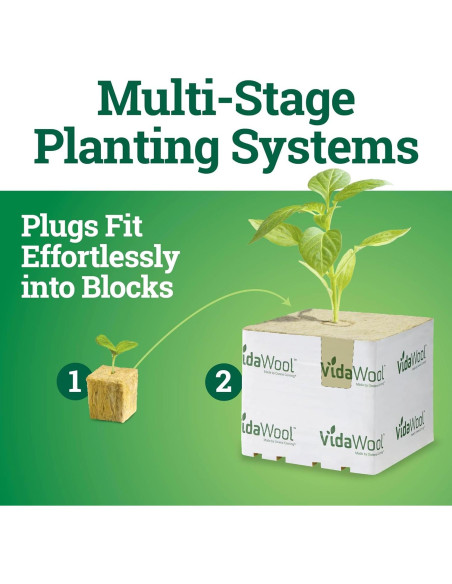 Hoja de Crecimiento Inicial VidaWool Grow 98 Tapones Hidropónicos