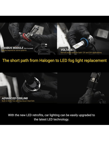 Bombillas LED Hella H3 Luz de Niebla 6500K - Paquete de 2