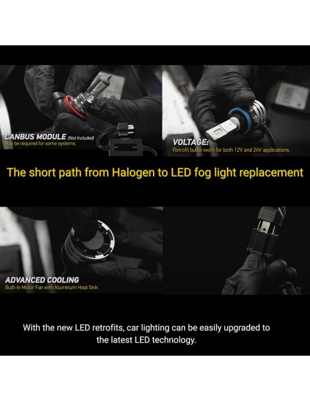 Bombillas LED Hella H3 Luz de Niebla 6500K - Paquete de 2