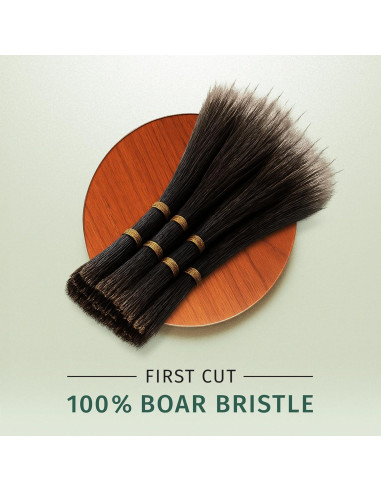 Cepillo de Cabello de Cerda de Jabalí SHASH 20.6x3.8cm Negro