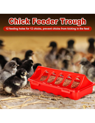 Kit de Cría para Pollitos POMINEL - Comedero, Bebedero y Perchero